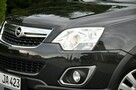 Opel Antara 2.2d(184KM)*Xenon*4x4*Navi*Skóry*Reling*I Wł*2xParkt.*Szyber*Alu19"ASO - 12