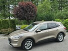 Ford Kuga 1.5 EcoBlue 120KM Titanium / Salon PL I-właściciel - 12