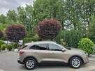 Ford Kuga 1.5 EcoBlue 120KM Titanium / Salon PL I-właściciel - 16