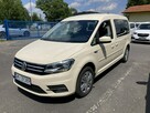 Caddy Maxi2.0 TDI dla Niepełnosprawnych inwalida SPRZEDAŻ-WYNAJM  2017 - 11