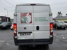 Ducato 3.0-180KM Chłodnia Konvekta Model 2015 - 11