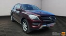 Mercedes ML 350 Salon PL Jasne skóry Pneumat El.klapa El.fotele Bi xenon + led - 3
