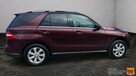 Mercedes ML 350 Salon PL Jasne skóry Pneumat El.klapa El.fotele Bi xenon + led - 16