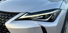 Lexus UX 250h,Hybryda,Idealny,Gwarancja - 14