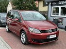 Volkswagen Touran Gwarancja, Klima, Wypas, 7-mio osobowa - 4