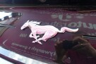 Ford Mustang * Oferta Prywatna * 2.3 Benzyna 317KM * Świetny Stan * 80 tyś KM - 10