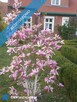 SPRZEDAM ATRAKCYJNĄ POSIADŁOŚĆ NAD ZALEWEM WIŚLANYM - 5