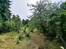 Dom Rybnik - 5