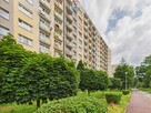 Po remoncie i wyposażone, 2 pokojowe na parterze! - 1