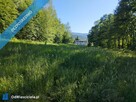 Działka Karkonosze (nikt nie zasłoni widoku) 6.584m2 Głebock (k Karpacza) - 2