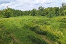 Cisza i spokój - działka pod zabudowę w Dzianiszu - 1