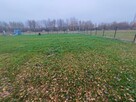 Wynajmę działkę 1200m2 Duczki 30 km od Warsz. z prądem. - 6