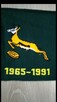 Szalik RPA rugby union springboks south africa rugby union - 9