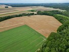Działka rolna Ciarka gm. Lasowice Wielkie, Bez Nazwy - 5
