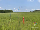 Dz. budowlana, Woryty, pełne media, ok.3000m2, las - 5