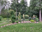 Usługi ogrodnicze - 4