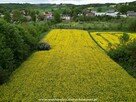 Działka w Kalinie Wielkiej - wachowicz.nieruchomosci, pl - 3