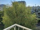 Sprzedam kawalerkę 25m2 na KSM-ie - 5