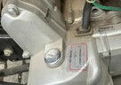 Quad Mini KXD 125 ccm - 6