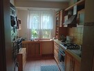 Do wynajęcia mieszkanie od września - 1