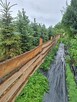 Działka ROD 800m2 z nowym domkiem 35m2 - 8