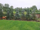 Działka ROD 800m2 z nowym domkiem 35m2 - 12