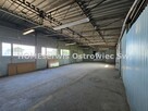 Działka Ostrowiec Świętokrzyski Gutwin - 11