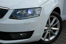 Škoda Octavia Skóry Navi Radar ACC Duża2xParktronici Bi-Xenon Ledy ASO SKODA - 5