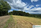 Działka siedliskowa Myczków gm. Solina, - 8