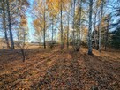 Działka budowlana Żabia Wola - 1