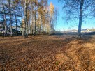 Działka budowlana Żabia Wola - 3