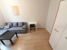 Wynajmę studio przyjazne zwierzętom, Cmentarna 26 - 2