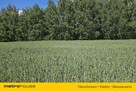 Działka Władysławów - 10