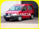 Volkswagen Caddy Klimatronic /Gwarancja / MPI /2010 - 1