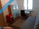 2 pokojowe rozkładowe 50m2 blisko centrum obok galerii Olimp - 2