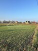 Działka budowlana Stasiówka gm. Łomazy, Stasiówka - 2