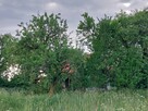 Nieruchomość z siedliskiem - 15
