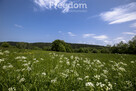 1,38 ha pod siedlisko, pasiekę lub fotowoltaikę - 14