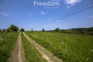1,38 ha pod siedlisko, pasiekę lub fotowoltaikę - 16