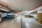 Lokal użytkowy Wrocław Stare Miasto, Stare Miasto, Włodkowica Pawła - 11
