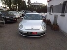 Volkswagen Beetle - 3