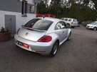 Volkswagen Beetle - 4