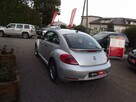 Volkswagen Beetle - 5