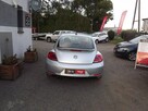 Volkswagen Beetle - 6