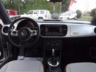 Volkswagen Beetle - 10