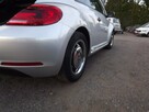 Volkswagen Beetle - 11