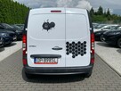 Mercedes Citan Salon PL Maxi Klima - 5