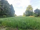 Sprzedam działkę rolną - 48 500 m2 - 13
