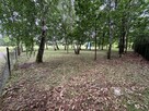 Działka rekreacyjna Rogóźno - 2