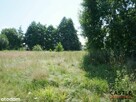 Leśny Zakątek I blisko plaży I mieszkaj i zarabiaj I od zaraz - 2